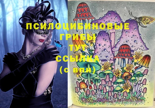 mix Аркадак